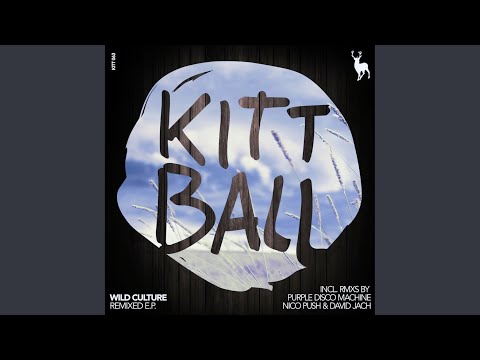 For Everything (David Jach Remix)