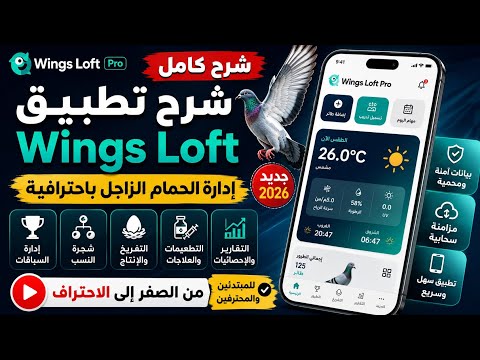 Wings Loft Pro video thumbnail