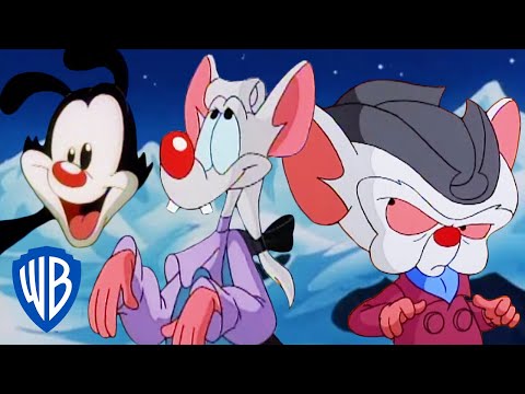 Animaniacs | Best of Pinky and the Brain 🐭🐭 | Classic Cartoon Compilation | WB Kids