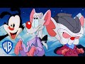 Animaniacs Best Of Pinky And The Brain Classic Cartoon Compilation WB Kids