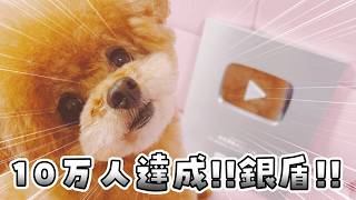 10万人達成！銀の盾をいただきました！！