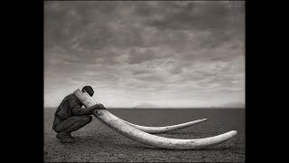 Eternal Tears Of Sorrow   The River Flows Frozen lyrics