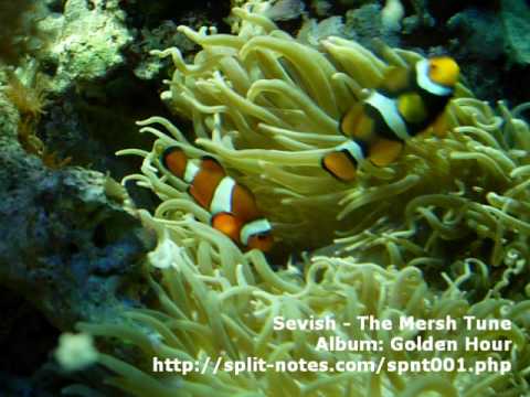 Sevish - The Mersh Tune (microtonal music)