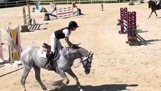 🌟OKAVANGO SITTE 🌟 5yo approved stallion - Oliva Nova 2025