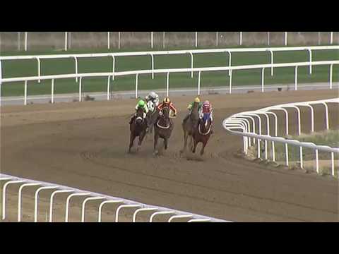 2017.05.14 Jockeyklubbens 2000 Guineas Trial (SWE) - Kashgar