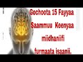 Gochoota Wantoota 15 Fayyaa Saammuu Keenyaa Miidhaniifi Furmaata Isaanii