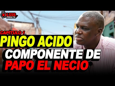 PINGO ÁCIDO: COMPONENTE DE "PAPO EL NECIO" EL TERROR DEL MACHETE Y EL ÁCIDO / VIDA CALLEJERA CAP. 1