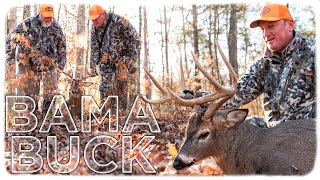Tree Stand Rifle Hunt! | BIG Alabama Buck In A Clear Cut!