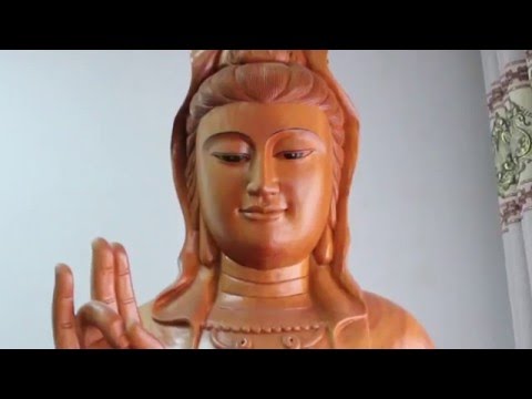 Điêu Khắc Gỗ - Thiên Phú Thạo - Tinh hoa mộc, Kết thiền tâm 