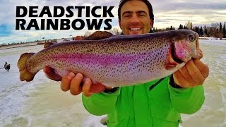 preview picture of video 'How to Catch Big Rainbows Dead Stick'