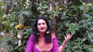 Dr. Kalyani Bondre | Hoshwalon Ko Khabar Kya | Cover  #JagjitSingh #Tribute #Ghazal #Sarfarosh