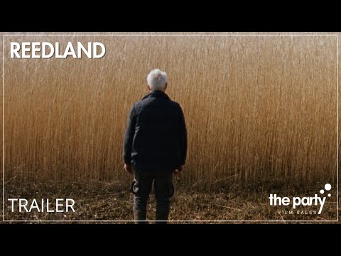 Rietland