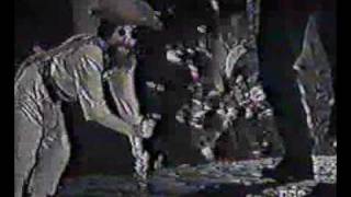 raul seixas mosca na sopa original