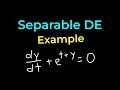 Separable Differential Equation Example: dy/dt + e^(t+y) = 0