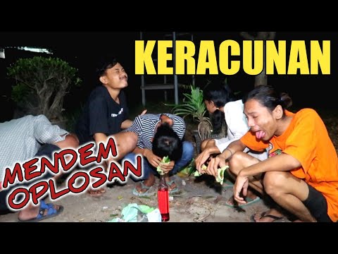 p3ng4wur4n-makan-pandan-dicampur-c4ir4n-ini-gimana-rasanya-eksperimen-sempel