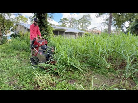 Bringing This Yard Back to LIFE After the TORNADO!!!