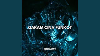 Download lagu Garam Cina Funkot mp3