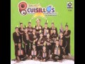 Banda cuisillos -que linda eres