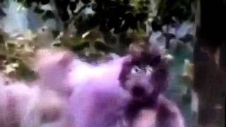 Sesame Street - &quot;Big Bird Doesn&#39;t Fly&quot;