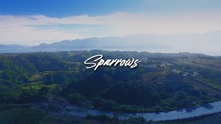 Sparrows Music Video