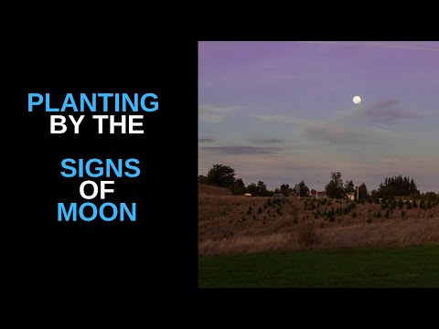 planting by the signs of moon
