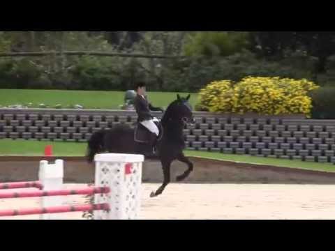 Viper van Huize Ruisdael CSI3* San Giovanni 145cm 13/04/2014