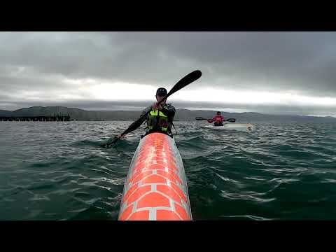 Petone 13km 18 October