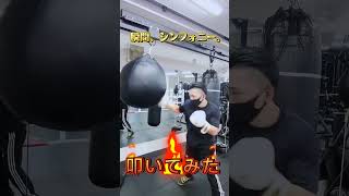 【超かぐや姫！】瞬間、シンフォニー。叩いてみた🔥【葵 瑠鬼】