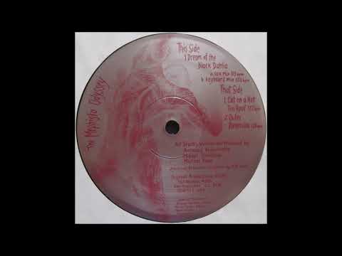 The Mephisto Odyssey - Cat On A Hot Tin Roof