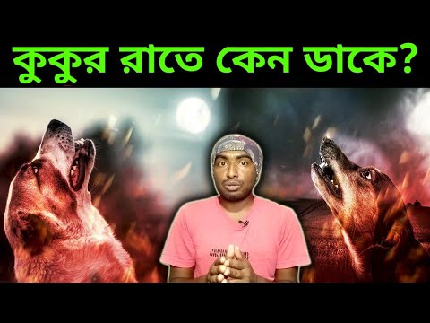 রাতে কুকুর কাঁদতে কাঁদতে কেন ডাকে? Reasons Why Some Dogs Howl at Night