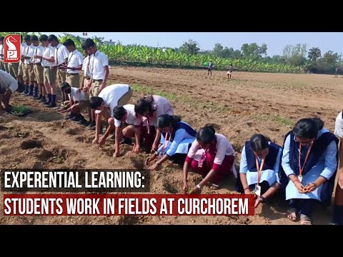 EXPERENTIAL LEARNING: STUDENTS WORK IN FIELDS AT CURCHOREM