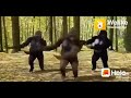 Monkey Dance