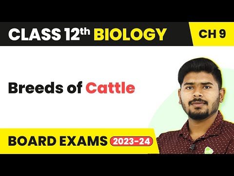 , title : 'Breeds of Cattle | Class 12 Biology Chapter 9 NCERT/NEET (2022-23)'