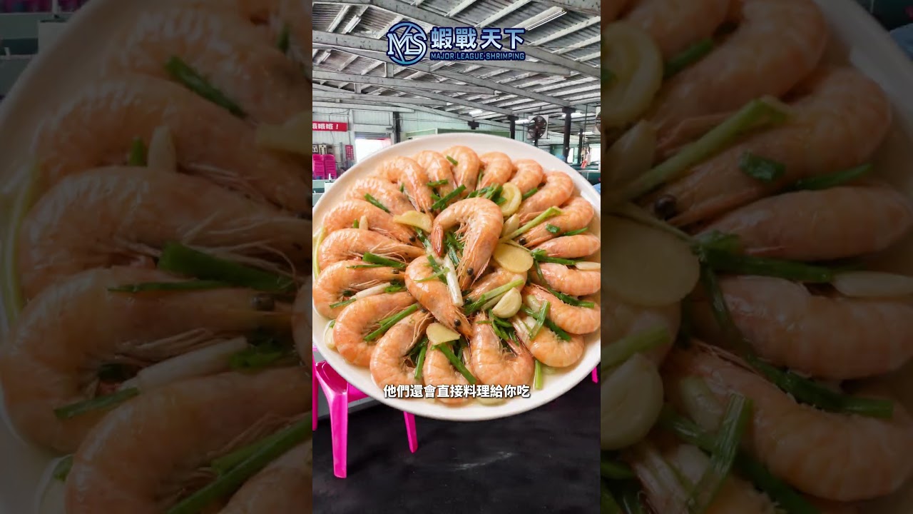 今天這間蝦場EP.21【MLS蝦戰天下】#17shrimp #台湾のエビ釣り #shrimpfishing #새우낚시