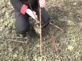 обрезка персика 1.mp4 