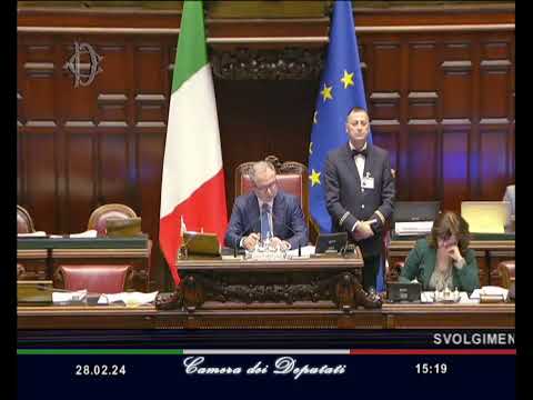 Marco Pellegrini - M5S Camera - Question Time al Ministro Crosetto in Aula 28/02/2024