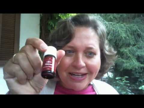 Fit durch die kalte Jahreszeit