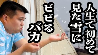 人生初の雪に触れて、死を覚悟するバカ【ジェラードン】