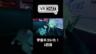 宇宙ネコ(本物)がいた！1匹目#VRSNS #vrchat