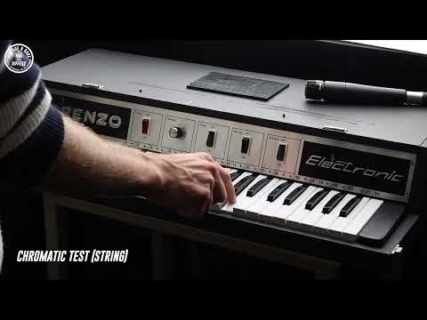 (Video) *Serviced* c.1970s Super Rare Lorenzo Electronic Electric Combo Organ Italian Synth |  37 Keys, 2 Voices, Preset Chords |  Vintage & Rare Analog Synthesiser | Made in Italy |  Flute String Vibrato Built-in speakers image 20