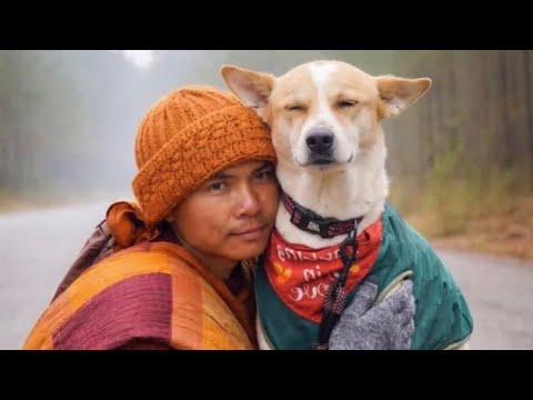 Aloka Peace Dog,joyfully reunited with Buddhist monks during their 2,300 mile new update Revealed 
