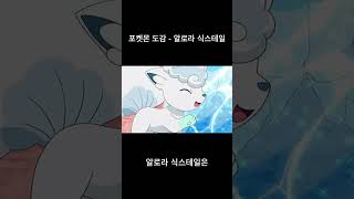 포켓몬- 알로라 식스테일 설명 #포켓몬 #pokemon