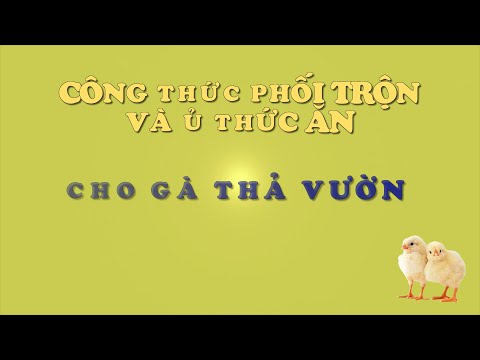 Công thức tự phối trộn và ủ thức ăn cho gà thả vườn