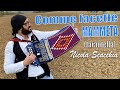 COMME FACETTE MAMMETA (tarantella) NICOLA SCACCHIA campione del mondo di organetto.
