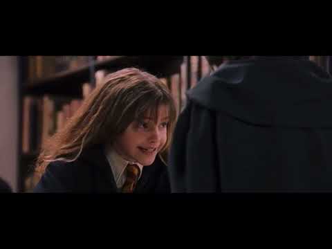 Harry Potter La Pietra Filosofale - La Verità su Nicolas Flamel