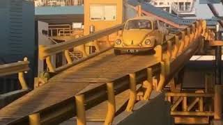 preview picture of video 'Super Beetle On The Ship'