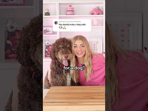 I made a CAKE for a DOG 🐶