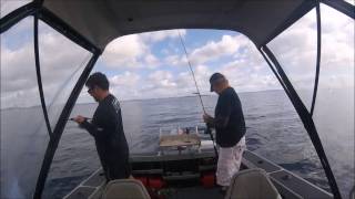 rat king on 60g micro jigging rod