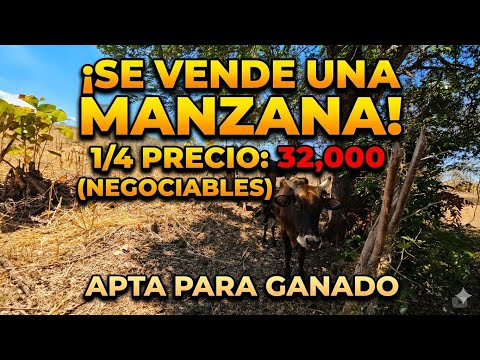  SE VENDE 1 manzana y 1/4 canton mazatepeque distrito de suchitoto departamento de cuscatlan