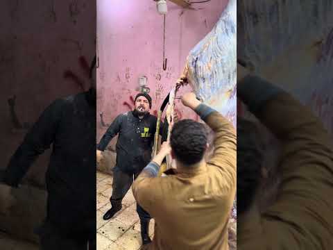 اقوي عكوه رفع العجل البقري في الونش استخراج جلد باحتراف اسرع سلخ ممكن تشوف عيد الاضحية احسن شغل في